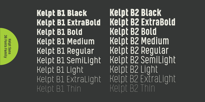 Beispiel einer Kelpt Sans B1 Extra Bold Italic-Schriftart